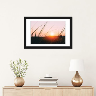 " Cape Cod Meadow " Color Photography
