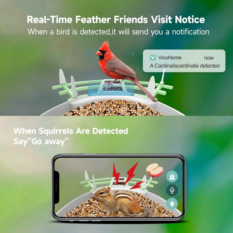 Solar Smart Bird Feeder with Camera, Green