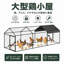 Chicken Coop