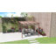 2.32m x 2.99m x 2.96m Pergola-1487696159