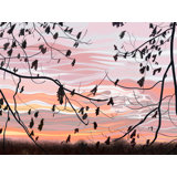 Oak Leaves And Morning Sky Print by Evan Sklar