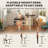 Adjustable Standing Desk, Whole-Piece Desktop-1698519401-1704026232