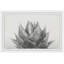 Dawkins - Cadre photo, impression sur papier-738380917-738380923
