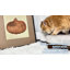 Housse lavable amovible de style moderne pour chien-1844076175