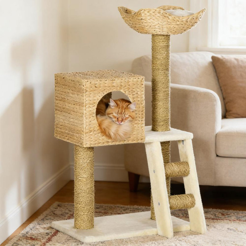 Arbre à chat, arbre à chat tressé pour l'intérieur, tour de chats