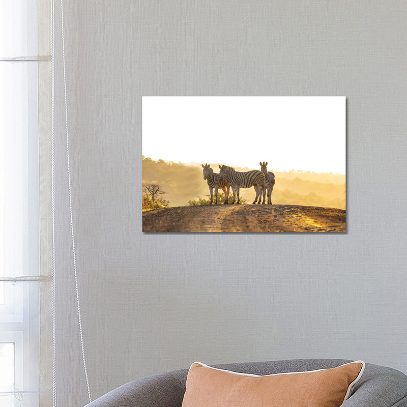 Zebras In Africa by Anders Jorulf - Wrapped Canvas Print, 66.04 cm H x 45.72 cm W