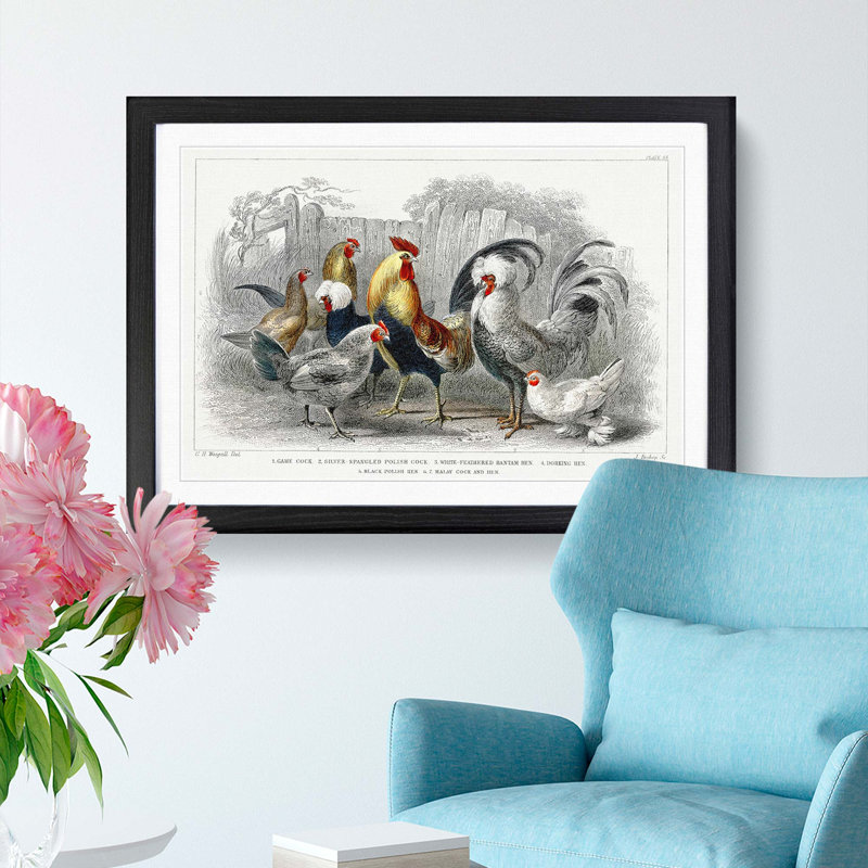 Cocks & Hens by Oliver Goldsmith - Picture Frame Painting, Black Framed, 48cm H x 65cm W x 2cm D
