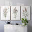 "Dicat Botanical I", reproduction sur toile 3 pièces-91890850-91890855