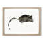 Mouse by Jean Bernard - Picture Frame Painting Print-55580891-55580888