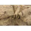 Tapis en laine beige/brun 8 pi 2 po x 9 pi 10 po one-of-kind à la main noué la new Finchley