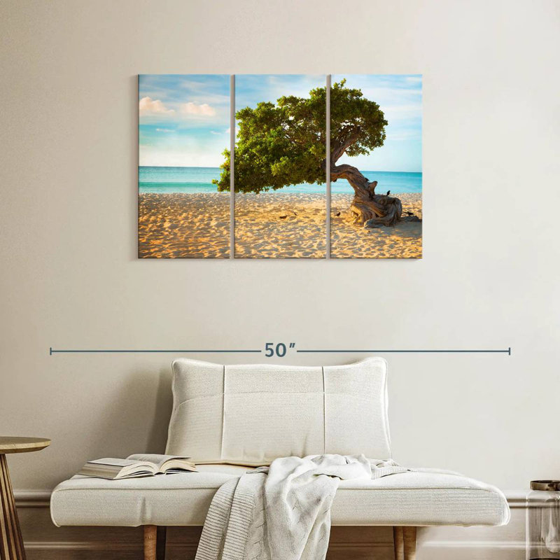 Arbre Gillard Divi-Divi à Aruba, H 24 po x l 38 po