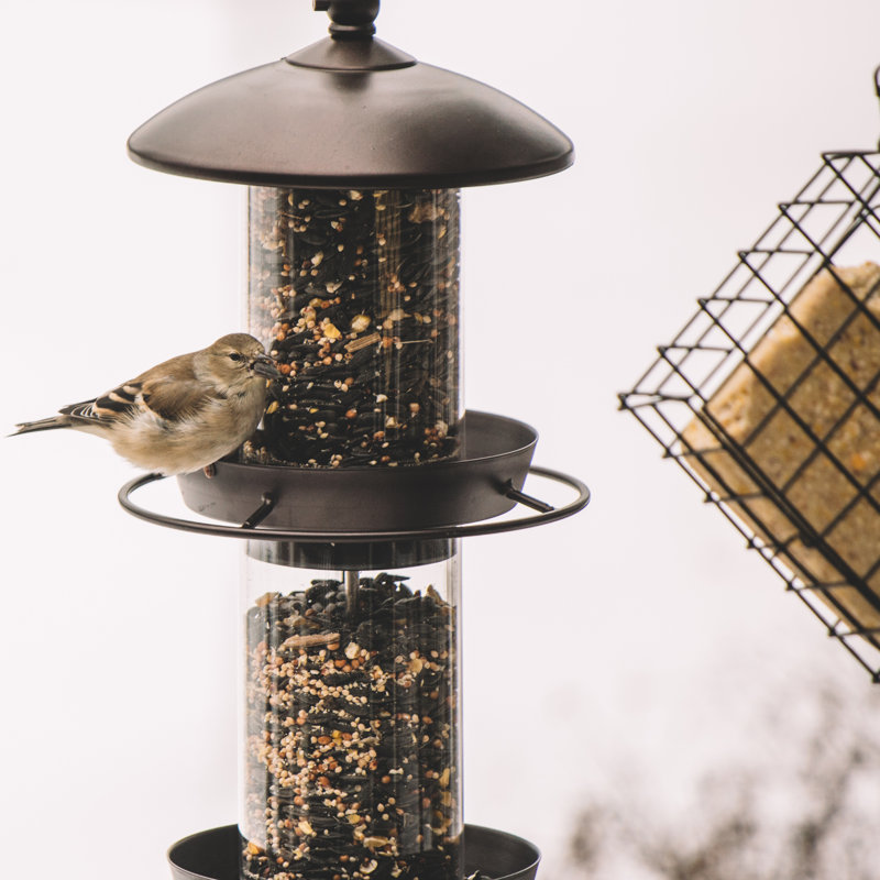 Mangeoire à oiseaux en métal Pavelas