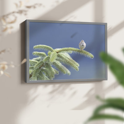 Evergreen Perch -Framed Print - Restickable