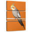 Cockatiel Brampt-108660587