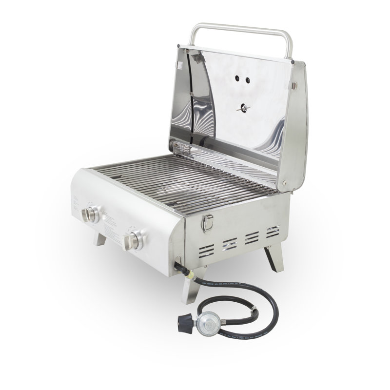 Pit Boss 2-Burner Propane Gas Grill
