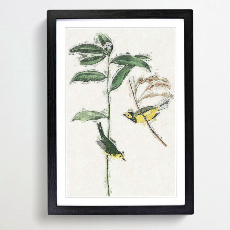 Hooded Warbler Birds by John Audubon - Picture Frame Painting Print, Black Framed, 36cm H x 27cm W x 2cm D