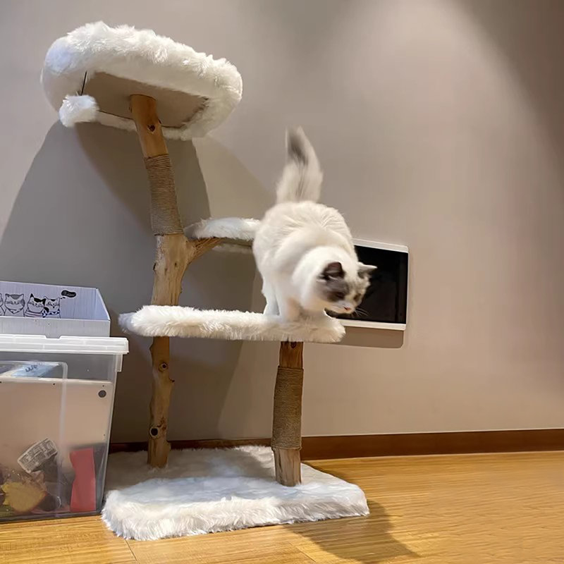 Multi-Level Climbing Frame for Cat