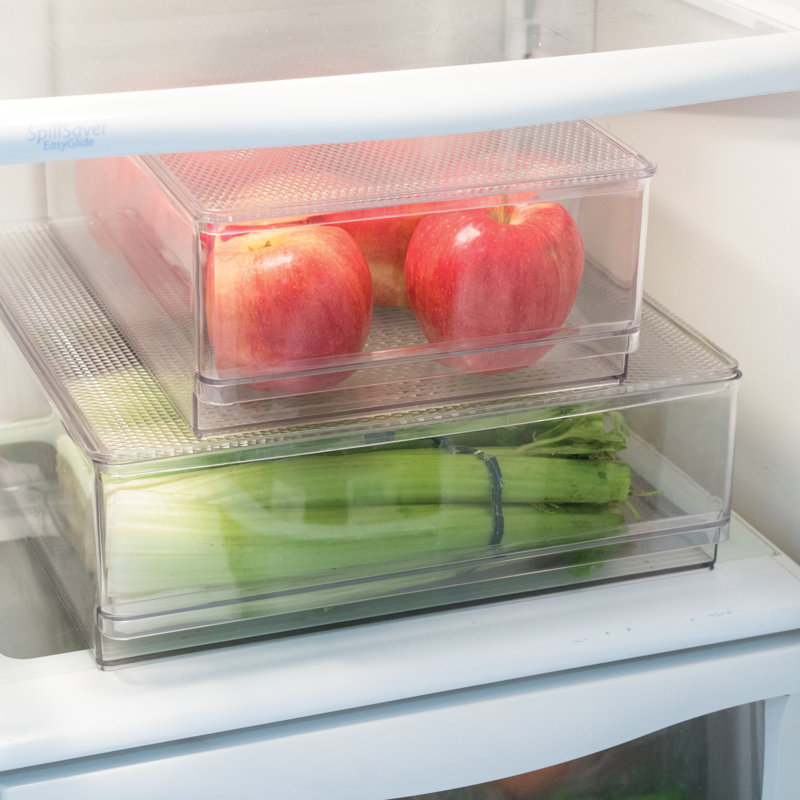 Oggi Neat 100 oz. Contenant alimentaire