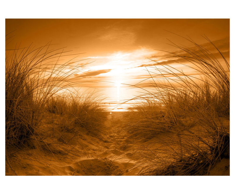 Roll, 55.1" L x 78.7" W, Sepia