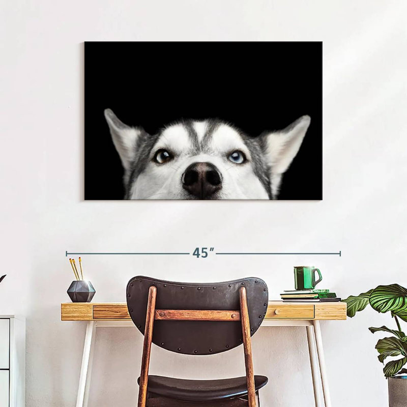 Peeking Siberian Husky, 26" H x 39" W