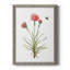 Wildflower Botanical III - Toile encadrée de qualité supérieure - prête à être accrochée-61358366-61358361