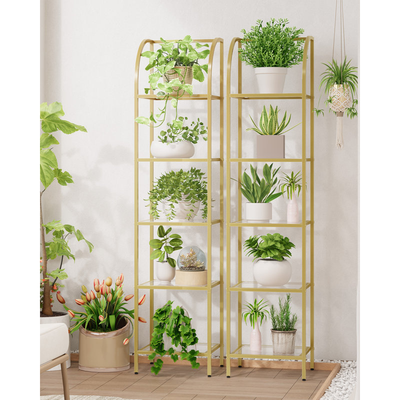 Bookcase Bookshelf, Tempered Glass Arched Bookshelf for More Storage, Slim Shelving Unit for Bedroom, Bathroom, Home Office, Steel Frame, 5 Tier Gold