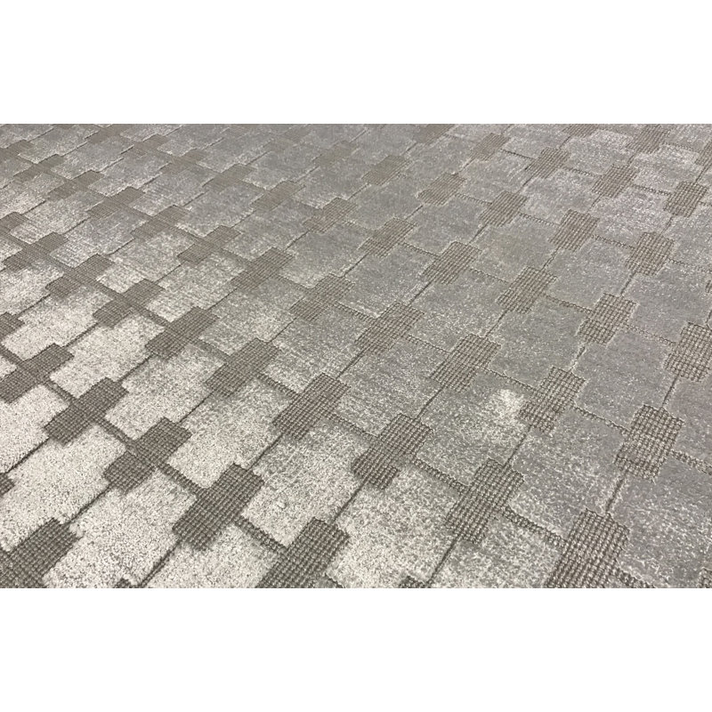 Area Rug in Gray