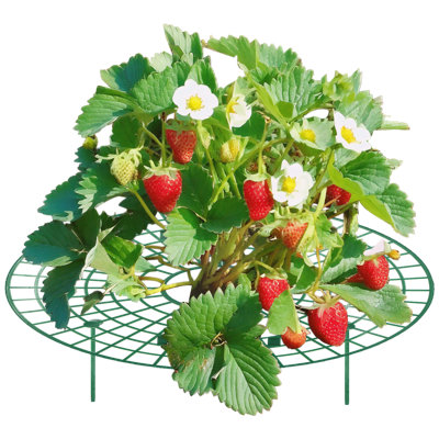 Supports à fruits et légumes