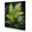 «Tattersall Ferns Plant Timeless Elegance I», reproduction sur toile