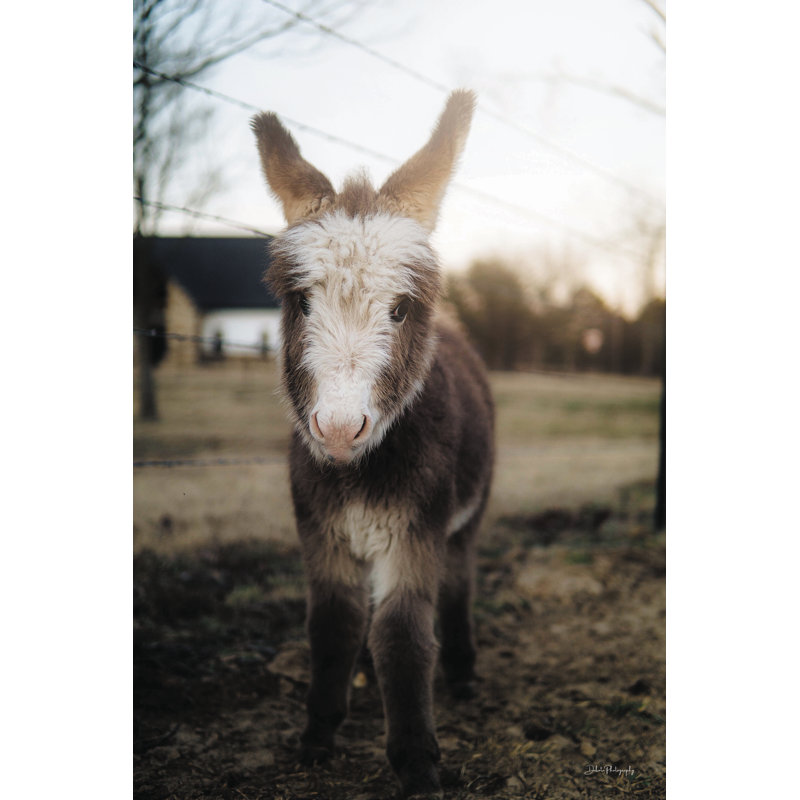 Lil Lil sur toile par Dakota Diener, H 30 po x l 20 po x P 1,25 po