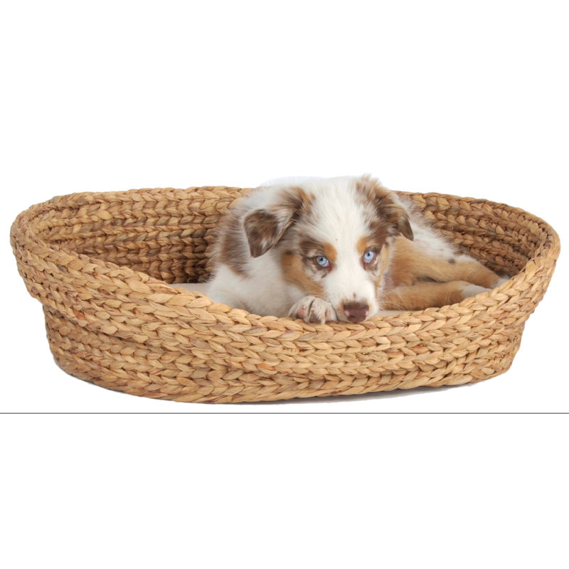 Tania Wicker Pet Bed