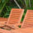 Anautica 13 Piece Patio Dining Set-79520516