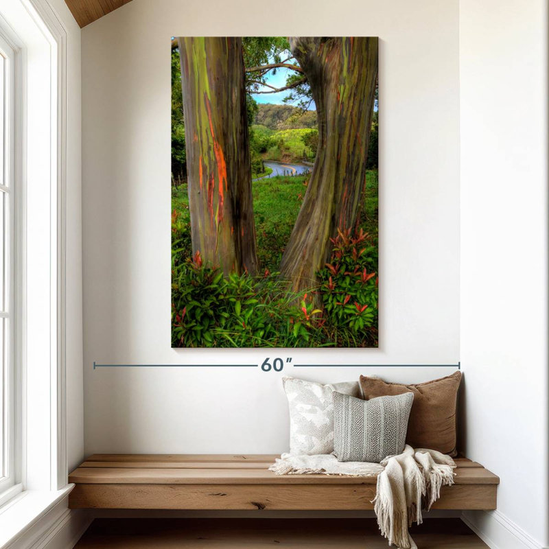Harnek Roadside Rainbow Eucalyptus, 51" H x 34" W