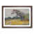 Walnut Framed