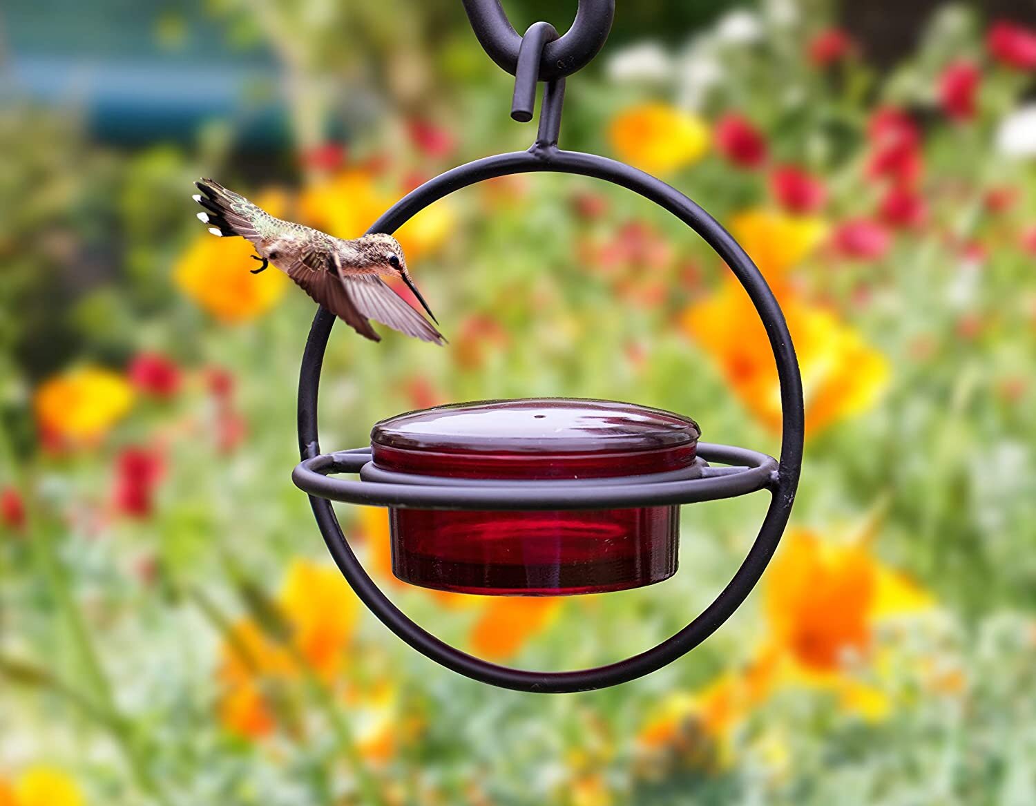 Monarch Abode Glass Hanging Hummingbird Feeder & Reviews