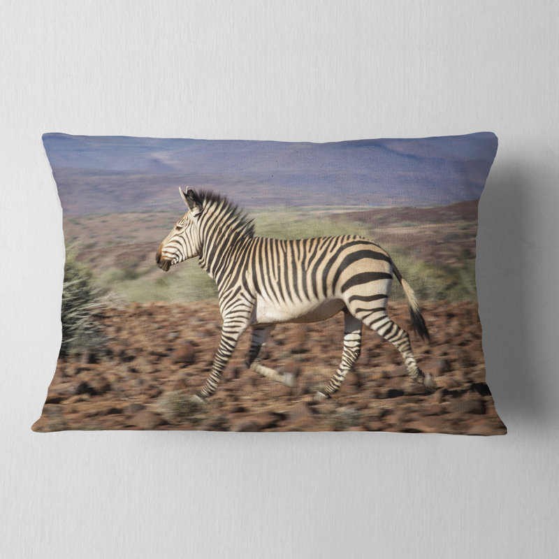 Coussin Schafer Landscape Zebra in Damaraland