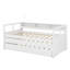 Lit de jour avec 2 lits gigognes, tablettes de rangement, 1 lumière gratuite et conception de chargement USB-903674435