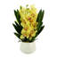 Orchid Arrangement with Rocks in a Ceramic Pot-1614395911