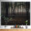 «Dark Spooky Misty Wild Forest», reproduction de photo-35062283-35062296