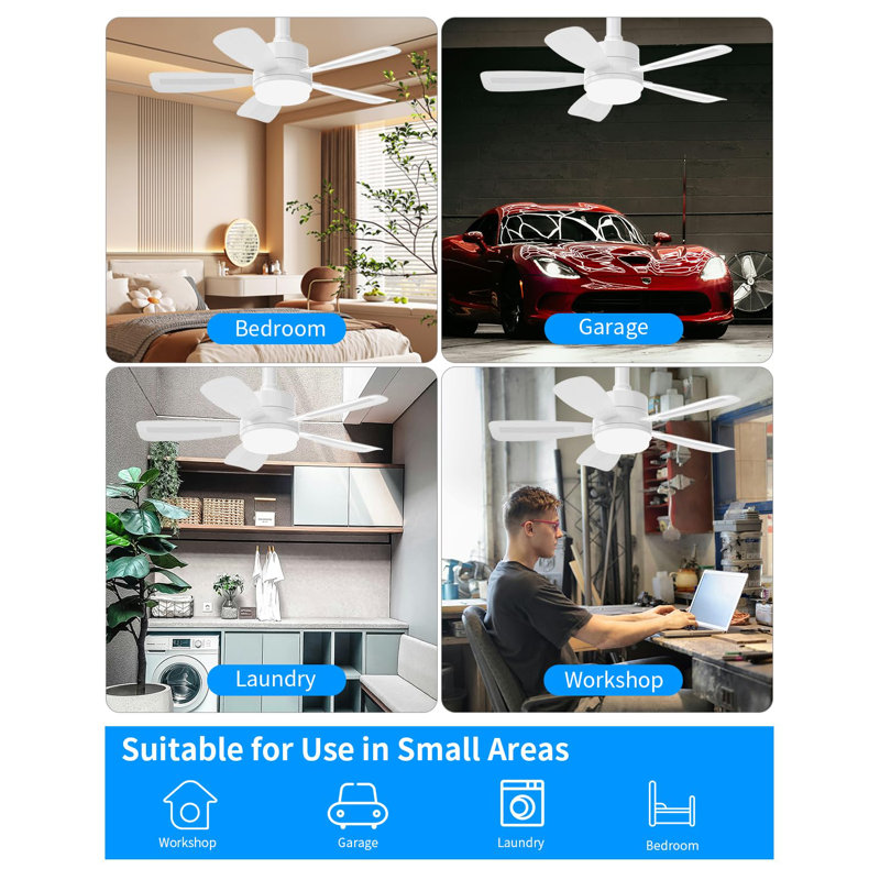 Ceiling Fan with LED Lights