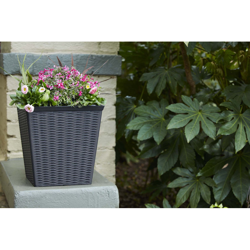 Pot Planter
