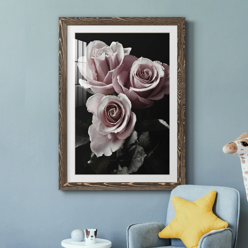 Rose noire I - photographie, Papier, cadre noyer, H 24 po x l 18 po x P 1,5 po
