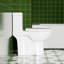 Toilette 1,28, blanc brillant 003, siège économiseur d'eau 003, hauteur confortable