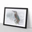 Graceful Kingfisher Bird - Picture Frame Graphic Art Print-56734973-56734974