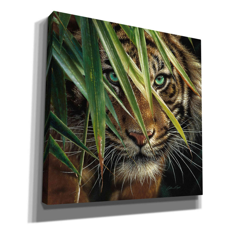 Ebern Designs «Tiger Eyes» par Collin Bogle, art mural sur toile, H 18 po x l 18 po x P 0,5 po