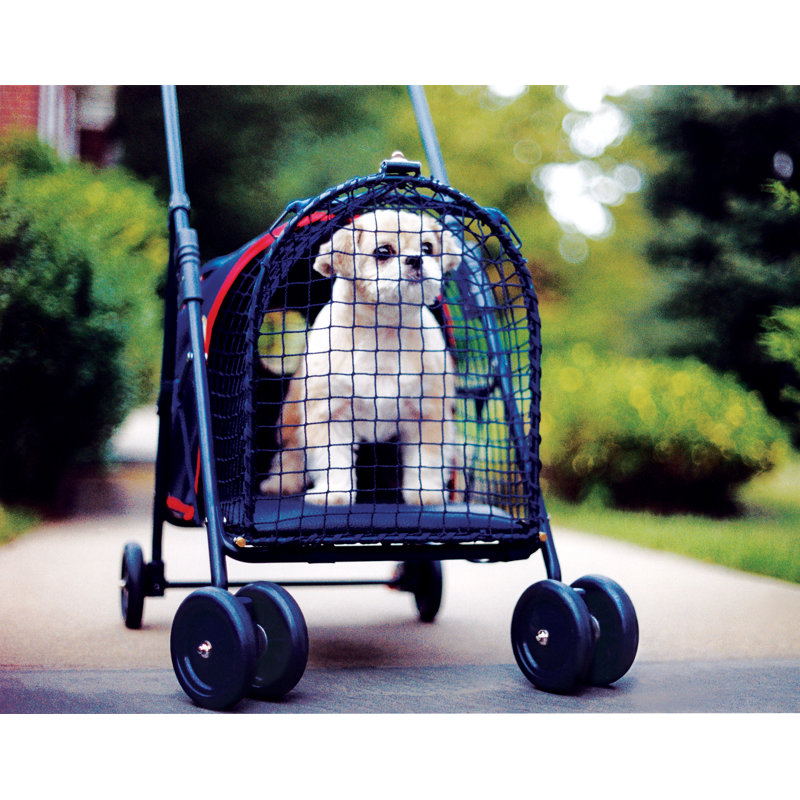 Foldable Pet, Blue