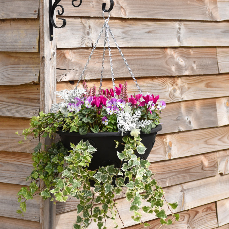Hoxton Hanging Planter