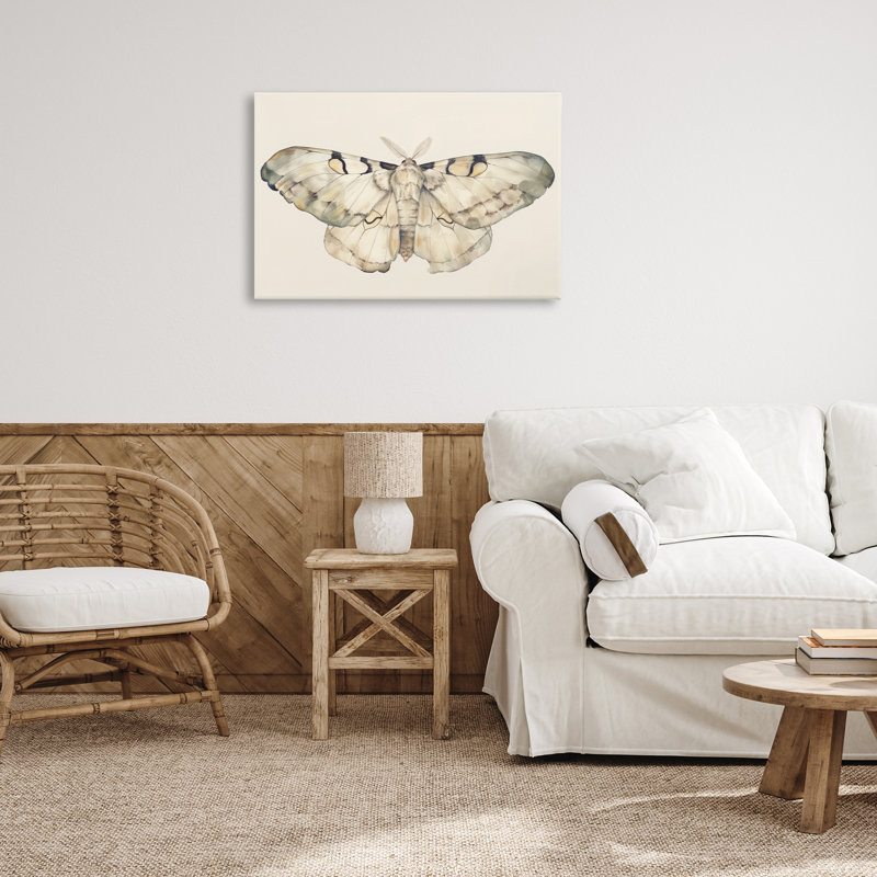 «Dusty Beige Moth», art mural sur toile par Petal Prints Design, H 20 po x l 30 po