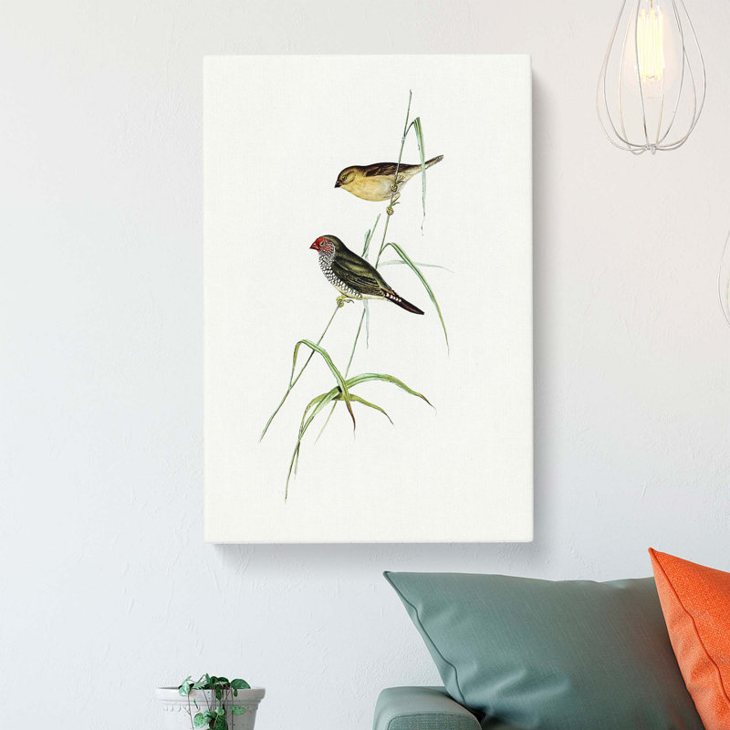 Finch by Elizabeth Gould - Wrapped Canvas, 60cm H x 40cm W x 3cm D
