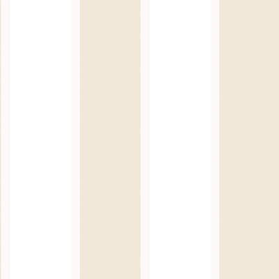 Donner 10m x 53cm Matte Wallpaper Roll